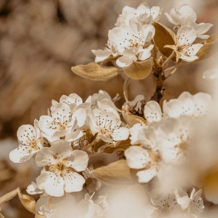 camille-brodard-vc1fE6QrYlE-unsplash camille-brodard-vc1fE6QrYlE-unsplash